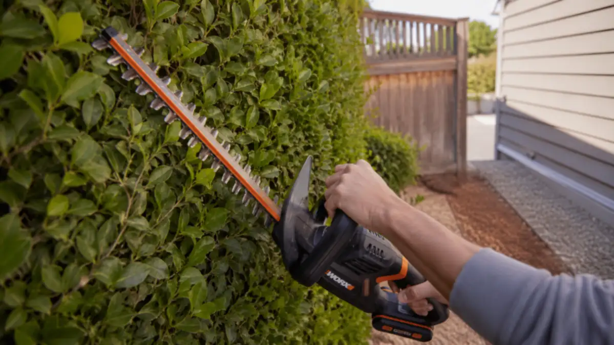 Close-up of hands holding the WORX cordless hedge trimmer against a section of overgrown hedge, dual-action blades visible