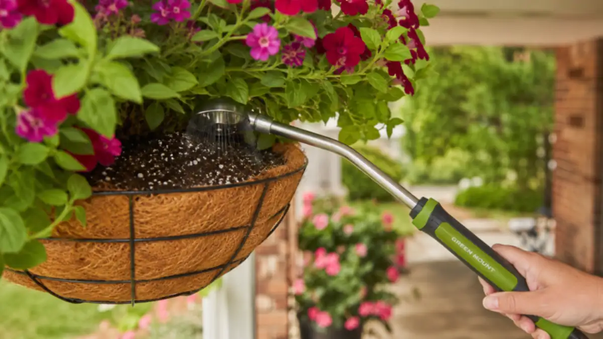 Close-up of a stainless watering wand head tucked under hanging basket foliage, water soaking into the soil