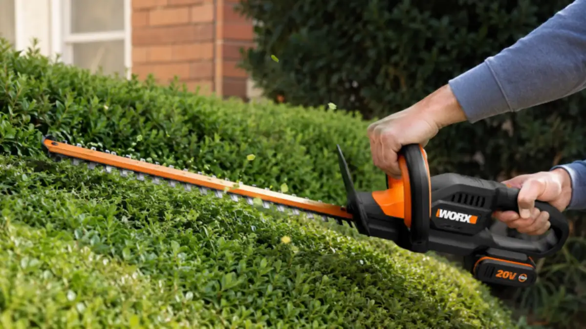 Hands guiding the WORX hedge trimmer along the flat top of a boxwood hedge